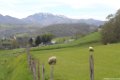 2016_04_Sauveterre__033