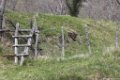 2016_04_Sauveterre__045