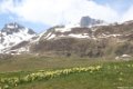 2016_05_Sauveterre__045