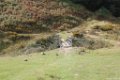2016_09_Sauveterre_095