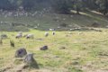 2016_09_Sauveterre_098