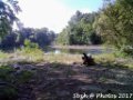 2017_08_Sauveterre_036