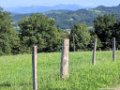 2017_08_Sauveterre_157