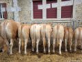 2017_08_Sauveterre_200