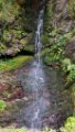 2017_08_Sauveterre_263