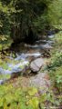 2017_08_Sauveterre_266