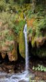2017_08_Sauveterre_267