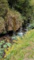 2017_08_Sauveterre_269