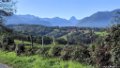 2017_10_Sauveterre_036
