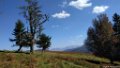 2017_10_Sauveterre_092