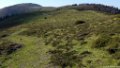 2017_10_Sauveterre_099
