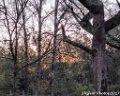 2017_10_Sauveterre_119