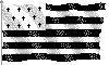 bzhflag
